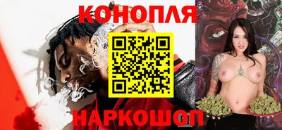 гашик Заводоуковск