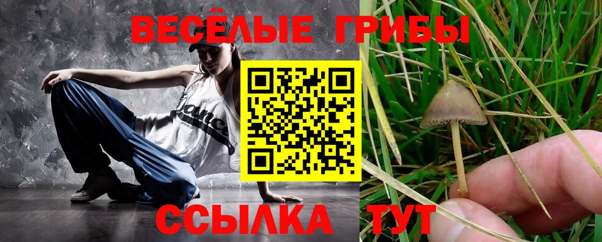 Галлюциногенные грибы Magic Shrooms Тобольск