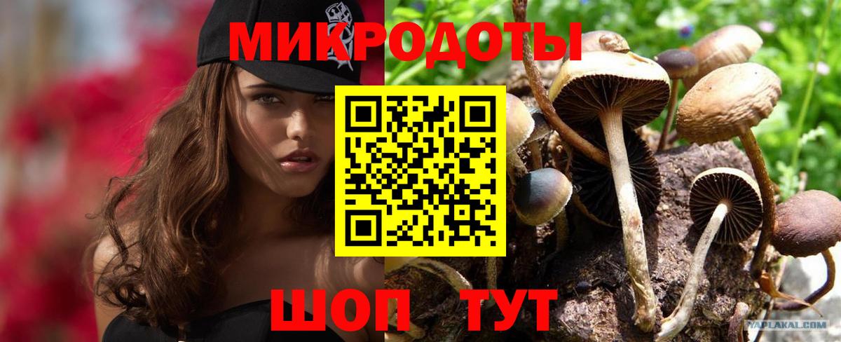 Псилоцибиновые грибы GOLDEN TEACHER  закладка  Тобольск  Вход с VPN  Галлюциногенные грибы Magic Shrooms 